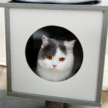 Load image into Gallery viewer, 5