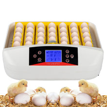 Load image into Gallery viewer, 0