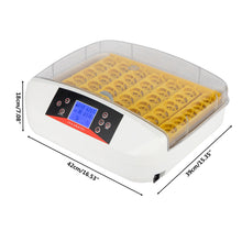 Load image into Gallery viewer, 6