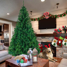 Load image into Gallery viewer, 1