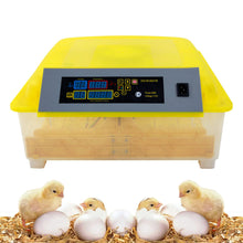 Load image into Gallery viewer, 0