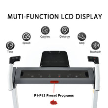 Load image into Gallery viewer, 3
