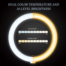 Load image into Gallery viewer, 6
