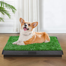 Load image into Gallery viewer, 1
